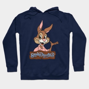 Splash Mountain Brer Rabbit Hoodie